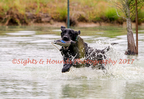 SUPER RETRIEVER SERIES MAY 2018