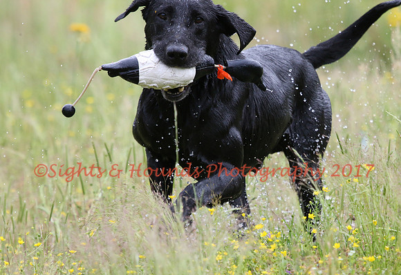 SUPER RETRIEVER SERIES MAY 2018