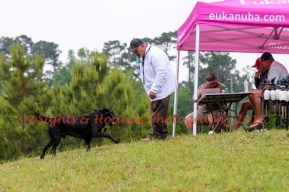 SUPER RETRIEVER SERIES MAY 2018
