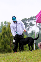 SUPER RETRIEVER SERIES MAY 2018