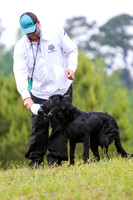 SUPER RETRIEVER SERIES MAY 2018