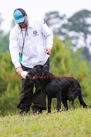 SUPER RETRIEVER SERIES MAY 2018