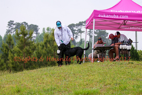 SUPER RETRIEVER SERIES MAY 2018