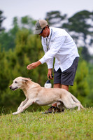 SUPER RETRIEVER SERIES MAY 2018