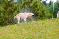 SUPER RETRIEVER SERIES MAY 2018
