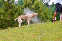 SUPER RETRIEVER SERIES MAY 2018
