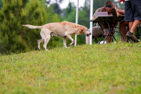 SUPER RETRIEVER SERIES MAY 2018