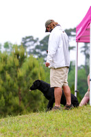 SUPER RETRIEVER SERIES MAY 2018