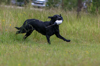 SUPER RETRIEVER SERIES MAY 2018