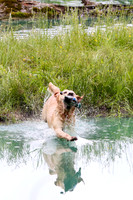 SUPER RETRIEVER SERIES MAY 2018