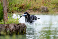 SUPER RETRIEVER SERIES MAY 2018