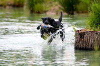 SUPER RETRIEVER SERIES MAY 2018
