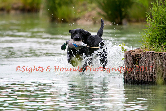 SUPER RETRIEVER SERIES MAY 2018