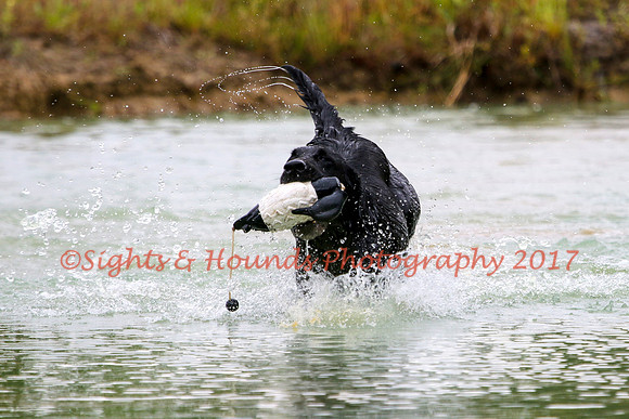 SUPER RETRIEVER SERIES MAY 2018