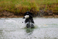 SUPER RETRIEVER SERIES MAY 2018