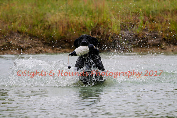 SUPER RETRIEVER SERIES MAY 2018