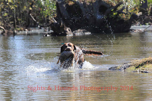 Benelli Thorsted