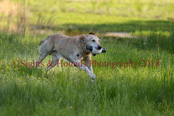 Casper