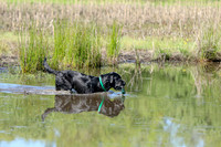 Ellie