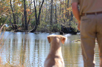 Test Dog with a back up...