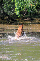 NEUSE RETRIEVER CLUB MAY 2019
