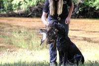 NEUSE RETRIEVER CLUB MAY 2019