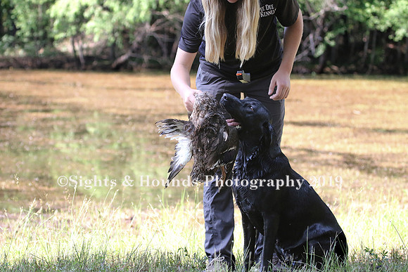 NEUSE RETRIEVER CLUB MAY 2019