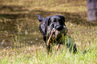 NEUSE RETRIEVER CLUB MAY 2019