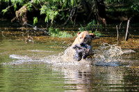 NEUSE RETRIEVER CLUB MAY 2019