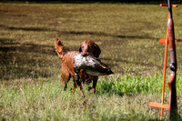 NEUSE RETRIEVER CLUB MAY 2019