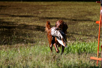 NEUSE RETRIEVER CLUB MAY 2019