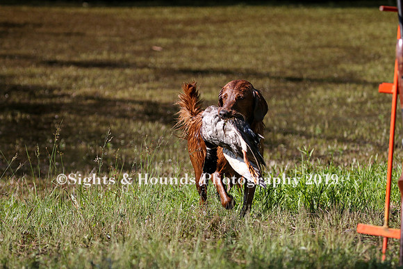 NEUSE RETRIEVER CLUB MAY 2019