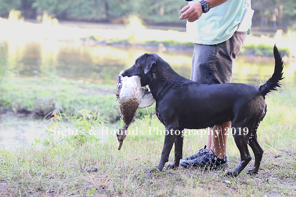 NEUSE RETRIEVER CLUB MAY 2019