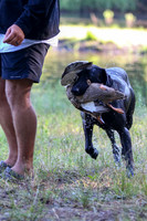 NEUSE RETRIEVER CLUB MAY 2019