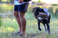 NEUSE RETRIEVER CLUB MAY 2019