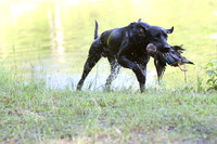 NEUSE RETRIEVER CLUB MAY 2019