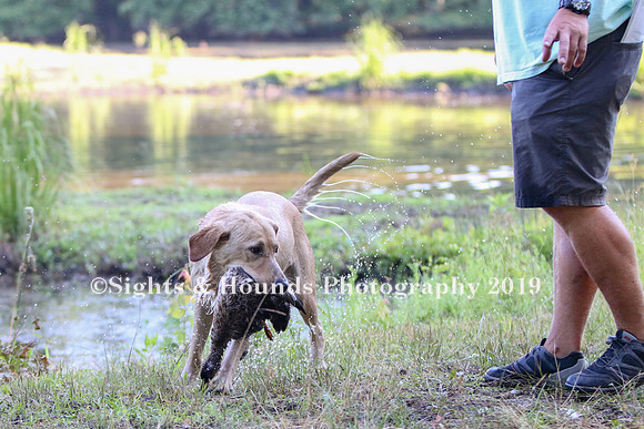 NEUSE RETRIEVER CLUB MAY 2019