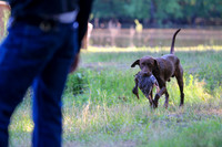NEUSE RETRIEVER CLUB MAY 2019