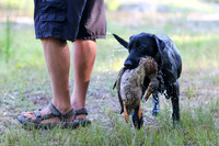 NEUSE RETRIEVER CLUB MAY 2019