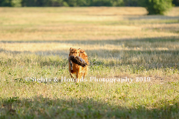 MAY 2019 NEUSE
