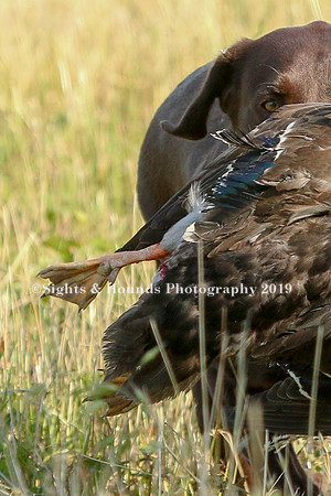 MAY 2019 NEUSE