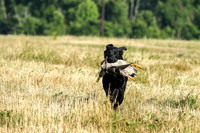 MAY 2019 NEUSE