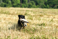 MAY 2019 NEUSE