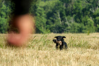 MAY 2019 NEUSE
