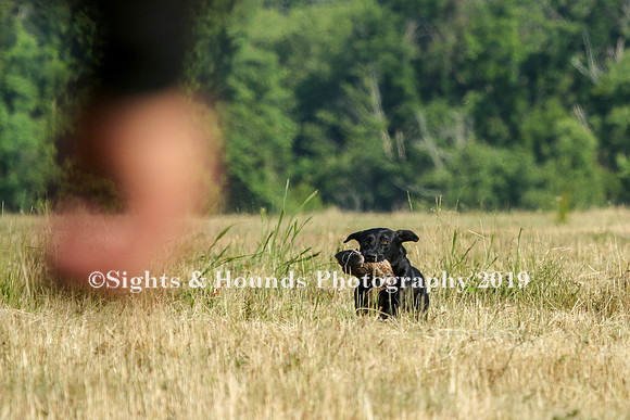 MAY 2019 NEUSE