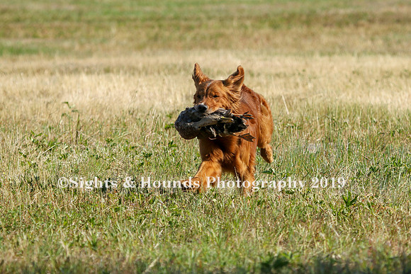 MAY 2019 NEUSE