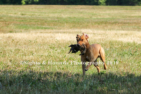 MAY 2019 NEUSE