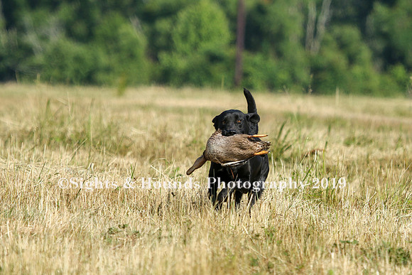 MAY 2019 NEUSE
