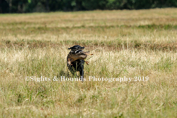MAY 2019 NEUSE