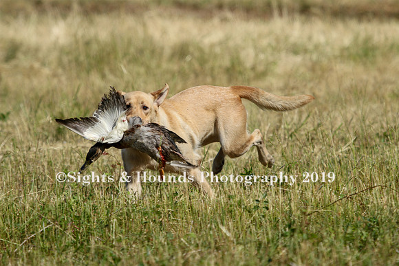 MAY 2019 NEUSE